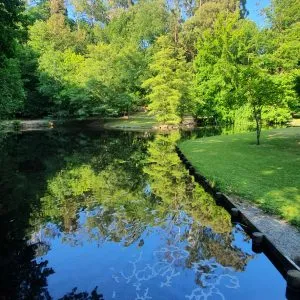 Te Koutu Lake Domain – Cambridge