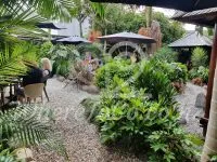 The Secret Garden Cafe – Waihi Beach