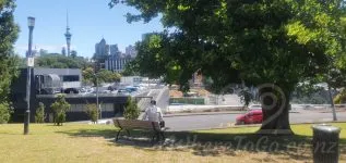 Fraser Park – Parnell