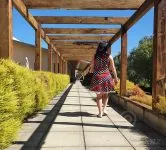 Westbrook Winery – Waimauku