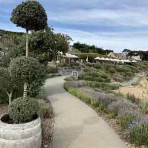 Mudbrick Vineyard & Restaurant – Waiheke Island