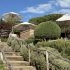 Ponsonby Restaurants